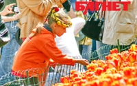 Погода отменила открытие Первого фестиваля цветов в Киеве