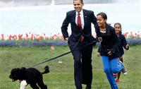 Собака Обамы становится популярней своего хозяина!