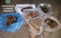 Ривненщина: в автомобиле нашли пять пакетов с ценным янтарем