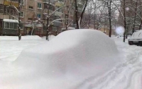 Шведского водителя 2 месяца не могли найти в снежном заносе 