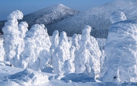 В Японии появились снежные монстры (ФОТО)