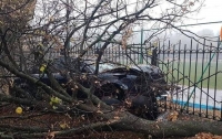 В Киеве пьяный водитель вылетел с дороги в дерево