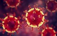 Растет количество зараженых китайским вирусом на Буковине