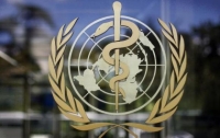 ВОЗ: в Западной Африке эпидемия лихорадки Эбола закончилась