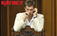 Царев считает, что причин для отставки Януковича нет