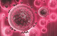 Американские ученые создали революционную вакцину от ВИЧ