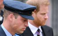Без изменений: принцев Гарри и Уильяма не сблизило горе в семье