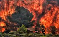 За десять дней в Греции сгорело более 56 тысяч гектаров леса