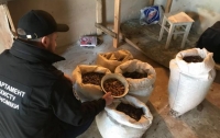 В Житомире изъяли больше 100 кг янтаря, подпольный цех работал в гараже