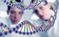 Ученые готовы создать генно-модифицированного человека  