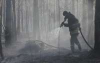 На Житомирщине спасатели ликвидировали три очага возгорания лесной подстилки, - ГСЧС