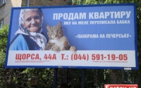 Скандальная бабушка с котом «прописалась» в Киеве