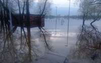 На Киевщине затопило дома (фото)