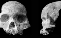 Исследователи нашли останки нового вида человека