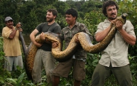 В Гайане биолог-авантюрист нашел огромную анаконду (ФОТО)
