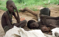 Эксперты: Мир на грани голода
