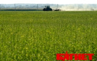 Украинские аграрии привлекли почти 3 миллиарда гривен кредитов
