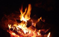 Любителям шашлыков стоит запастись огнетушителями