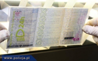 В Польше разоблачили цех по производству фальшивых документов