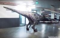 На парковке в Австралии завелся динозавр (ВИДЕО)