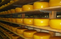 Россия все еще не пускает украинские сыры на свой рынок