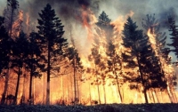 Масштабный пожар в Калифорнии, началась эвакуация людей (ВИДЕО)