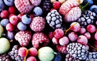 Комплекс по шоковой заморозке ягод построят в Украине