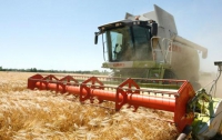Украина становится мировым лидером по экспорту сельхозпродукции