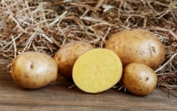 Чем опасен картофель: овощ входит в список вредных для здоровья продуктов