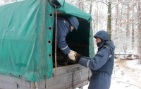 Спасатели обнаружили крупный склад боеприпасов на Киевщине