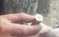 Кровавая охота: под Киевом браконьер застрелил своего кума