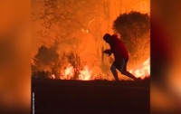 Мужчина рискнул жизнью, спасая кролика из огня (видео)