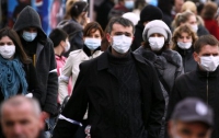 Паники свиного гриппа в этом году не будет