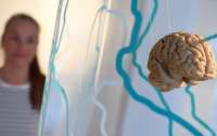 Коронавірус відбирає у людського мозку до 20 років життя