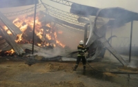 Масштабный пожар на Полтавщине: сгорело 750 тонн сена