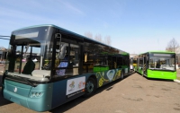 Автопарк Евро-2012 увеличился на 56 автобусов