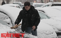 Снегопад полностью парализовал Киев
