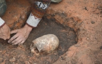 Археологи обнаружили останки женщин возрастом около 7,7 тысячи лет