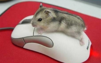 Сегодня – юбилей компьютерной мышки