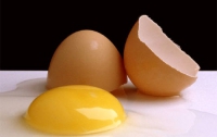 К Пасхе: мифы о яйцах