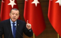 Эрдоган и Макрон обсудили необходимость политического урегулирования в Сирии