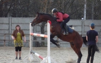 Киевский чиновник подарил государственную конную школу частной фирме