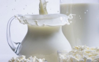 Новая система дотаций производителям молока не будет стимулировать качество продукта, - эксперт