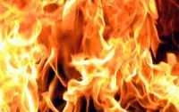 Во Львове сожгли 220 килограммов наркотиков на миллион гривен 
