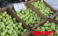 Украинцы недоедают фруктов на 25% от своих потребностей