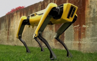 Робопес Boston Dynamics Spot поступил в продажу (ВИДЕО)