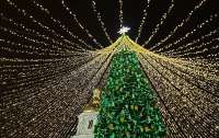 Стало известно, будут ли в Киеве ставить новогоднюю елку