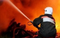 В Крыму на ферме заживо сгорели 20 свиноматок и 128 поросят