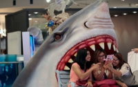 Селфи стали опаснее укусов акул