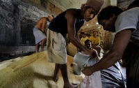 Индия планирует бесплатно кормить две трети населения страны 